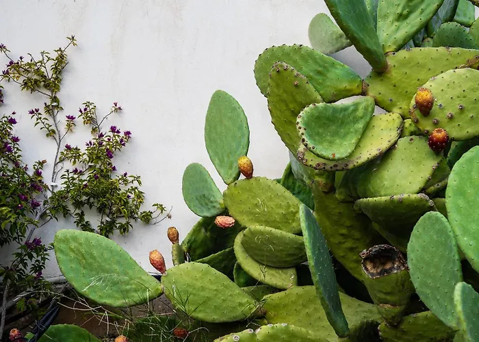 Maison De Yaya At Heraion Lagoon